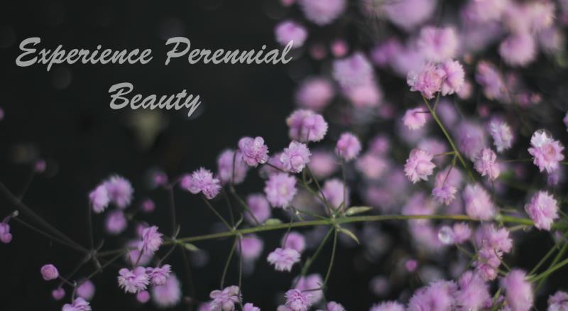 Experience Perennial Beauty