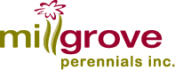 Millgrove Perennials Inc.